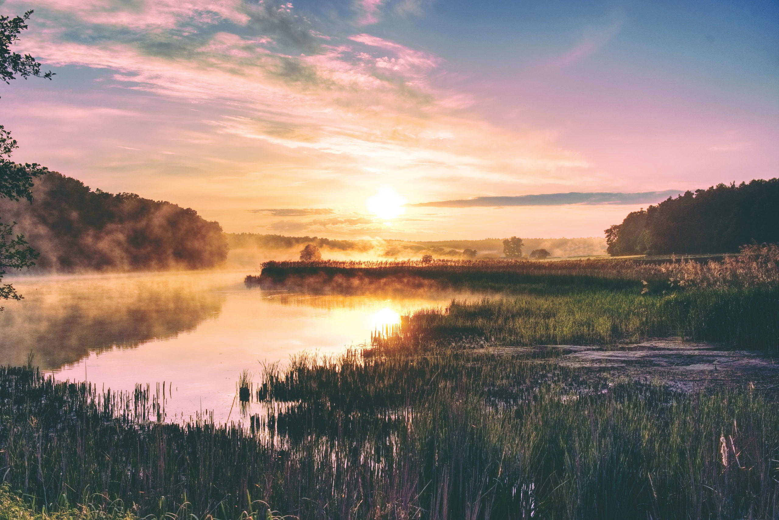 Bild von Feld und Wald
